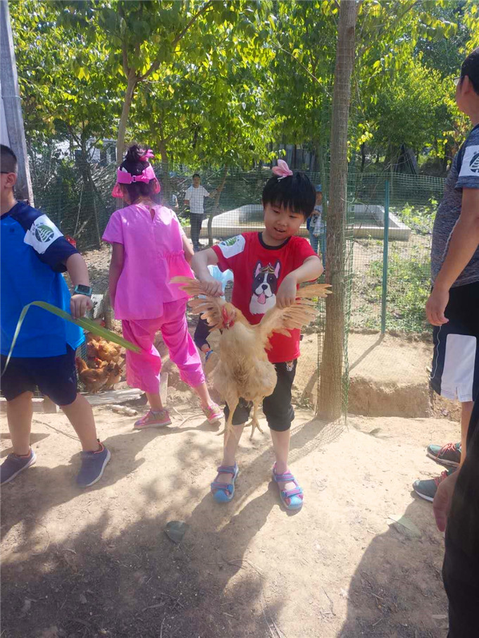 武汉学生游野炊抓鸡