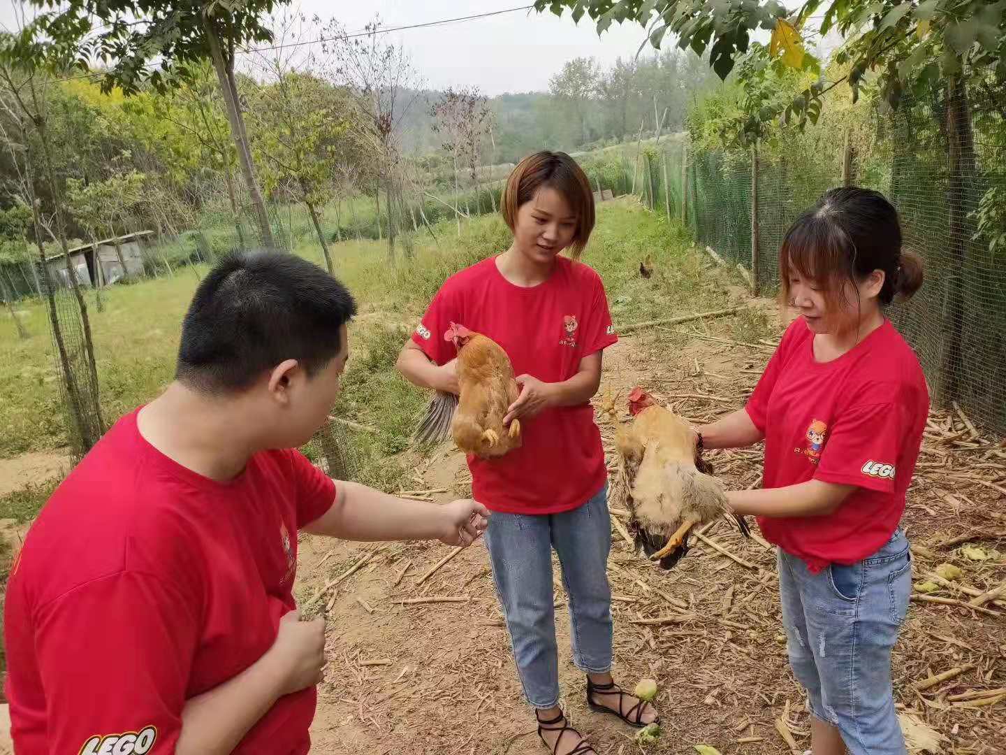 汉口周边农家乐