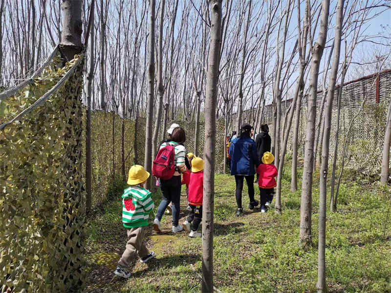 武汉幼儿园秋游