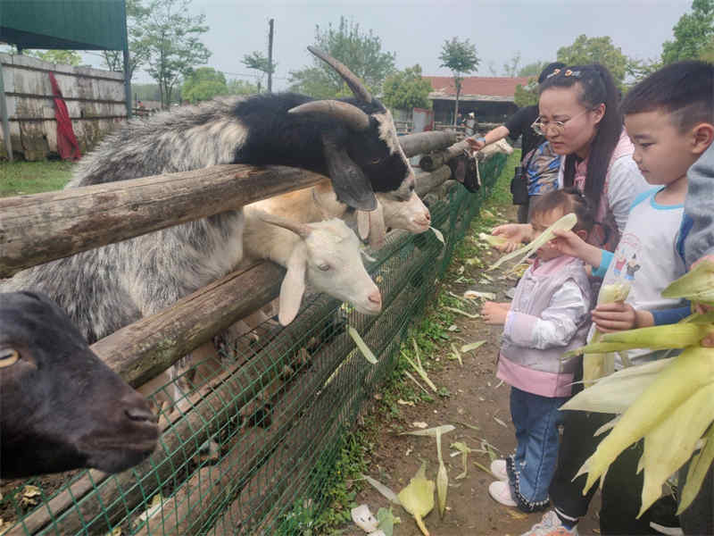 武汉亲子游好去处