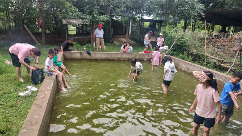 武汉幼儿园秋游