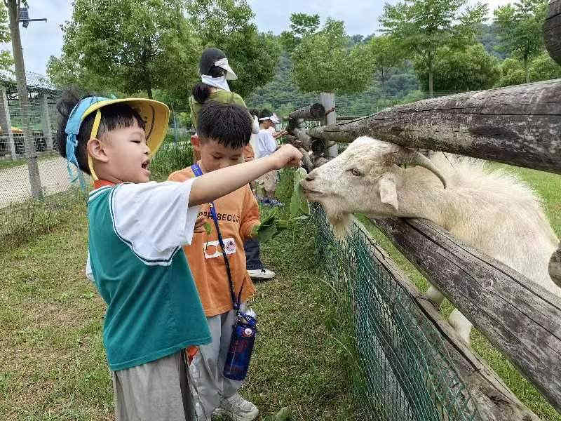 武汉幼儿园秋游