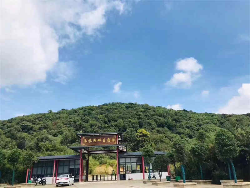 武汉公司团建