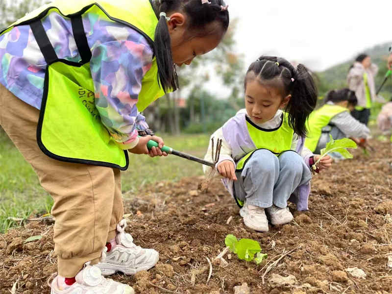 武汉幼儿园秋游